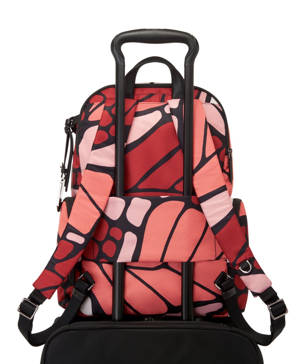 Buy CLN Tahlea Backpack 2023 Online