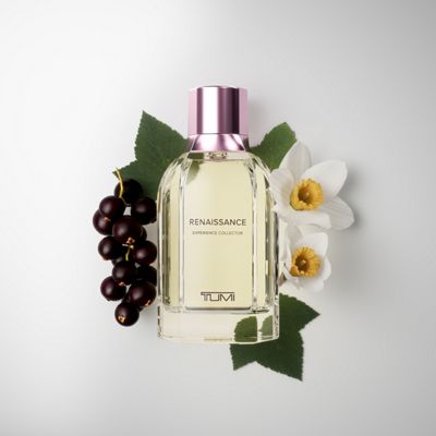 Extrait de parfum Renaissance de la collection Experience Collector, 3,4&nbsp;oz product image four