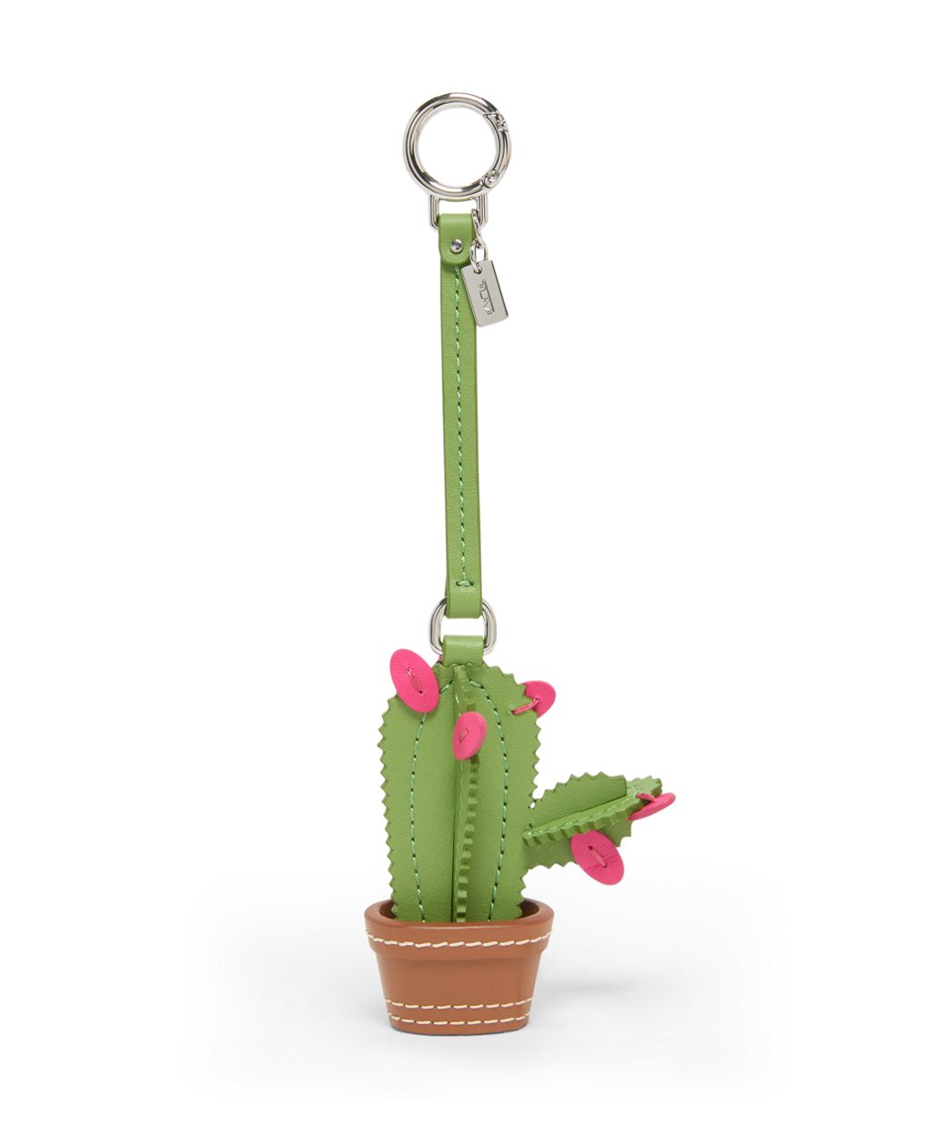 cactus with pink flower Pink Christmas Cactus main image 1