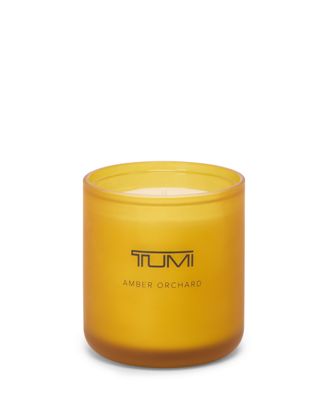 Amber Orchard Classic Candle